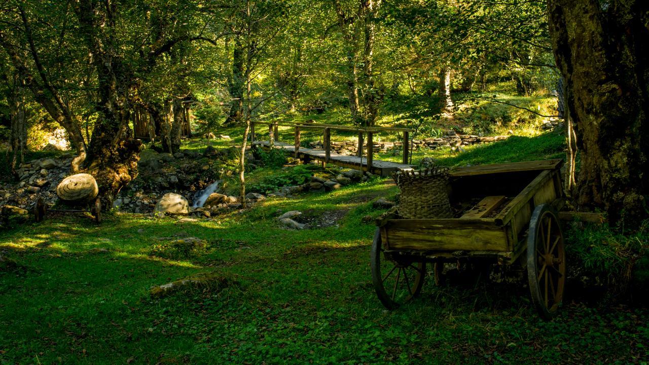 Chateau Dio Ambrolauri Bagian luar foto