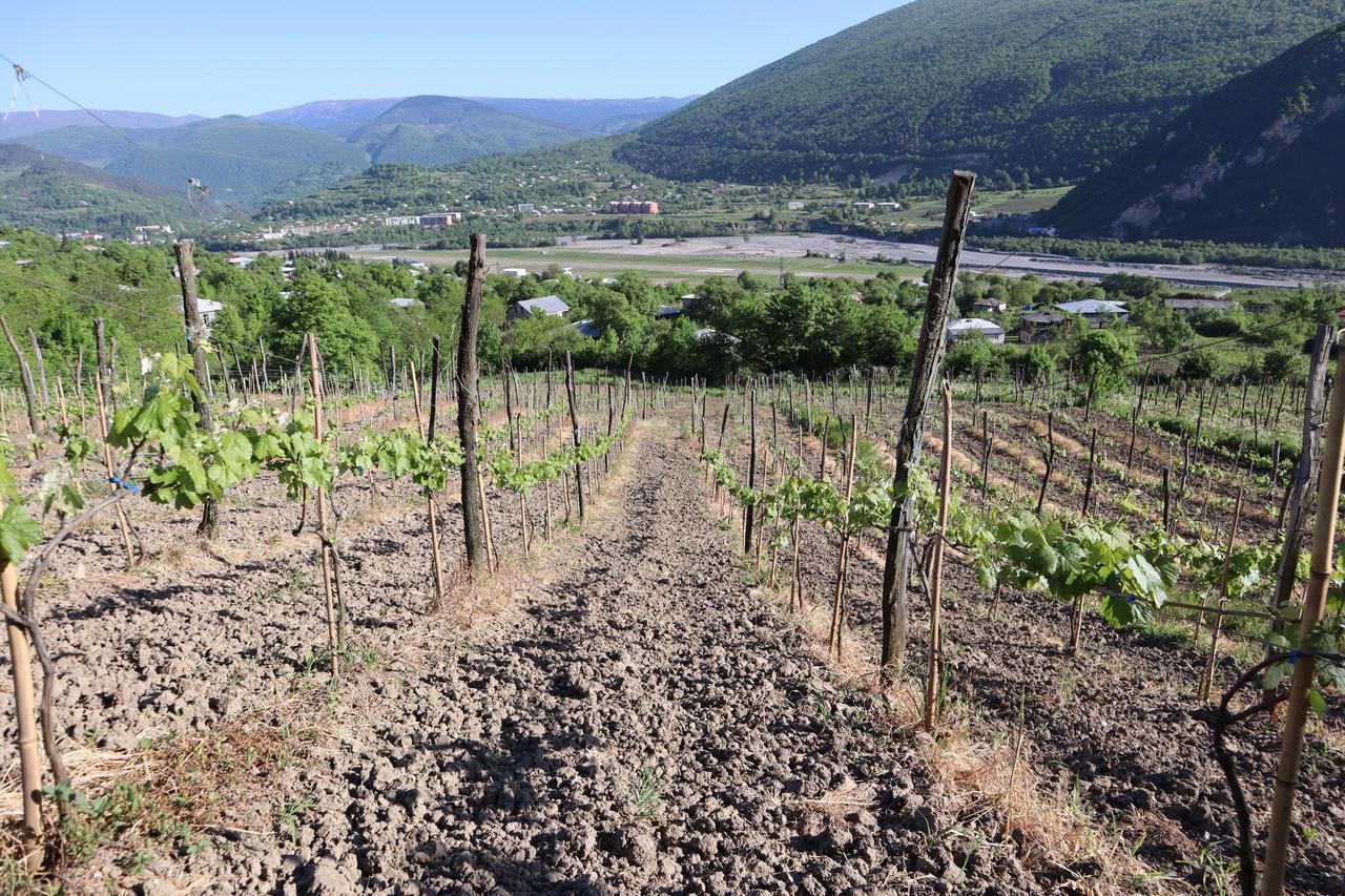 Chateau Dio Ambrolauri Bagian luar foto