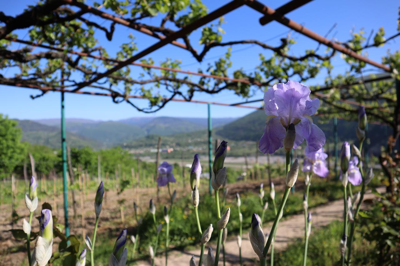 Chateau Dio Ambrolauri Bagian luar foto